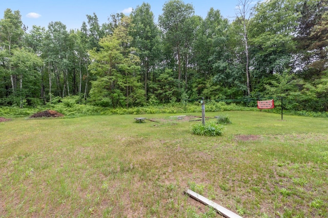 13143 County Road 116, Center Twp, MN 56465 - view of green lawn