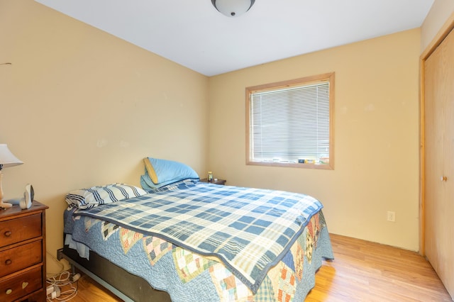 13143 County Road 116, Center Twp, MN 56465 - bedroom with wood finished floors and a closet