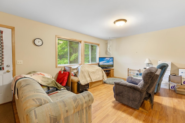 13143 County Road 116, Center Twp, MN 56465 - living room with wood finished floors
