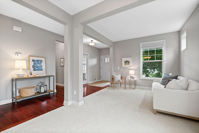 13332 Coachford Ave, Rosemount, MN 55068 - living room with carpet flooring and wood finished floors