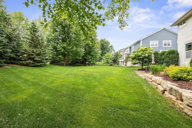 13332 Coachford Ave, Rosemount, MN 55068 - view of green lawn