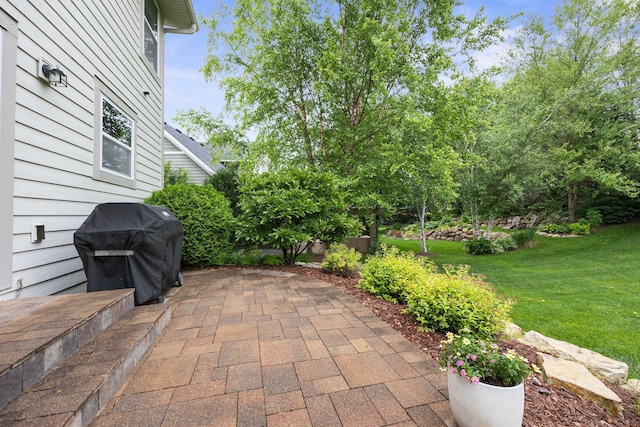 13332 Coachford Ave, Rosemount, MN 55068 - view of patio featuring a grill