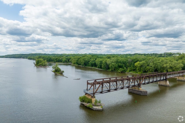 7822 Austin Path, Inver Grove Heights, MN 55077 - dock area featuring a view of trees and a water view