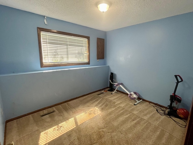 7315 Bagpipe Blvd, Eden Prairie, MN 55346 - carpeted empty room featuring a textured ceiling and baseboards