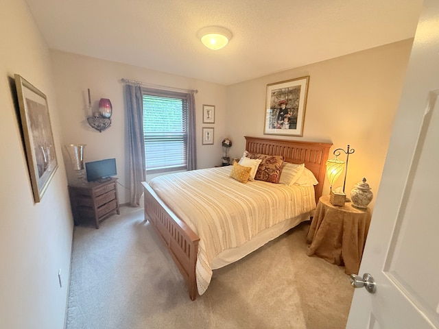 2228 Douglynn Ln, Saint Paul, MN 55119 - bedroom with light colored carpet