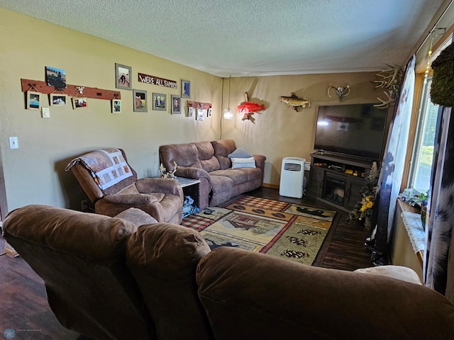 147 5th St, Felton, MN 56536 - living room featuring a textured ceiling and wood finished floors
