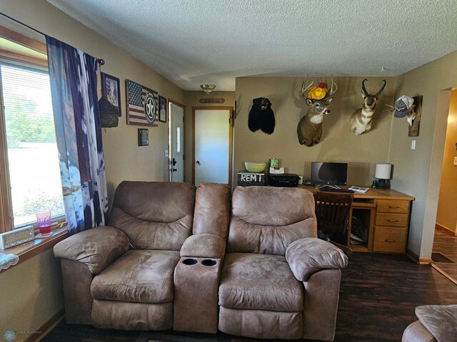 147 5th St, Felton, MN 56536 - living room with a textured ceiling, healthy amount of natural light, and wood finished floors