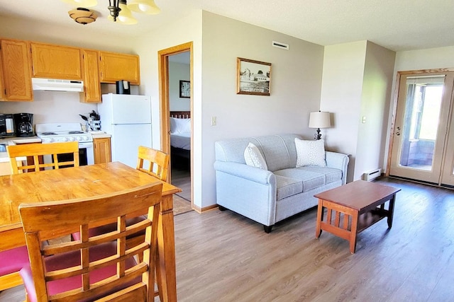 25150 Tame Fish Lake Rd Unit 552, Deerwood, MN 56444 - living area with light wood-style floors, a chandelier, and a baseboard radiator