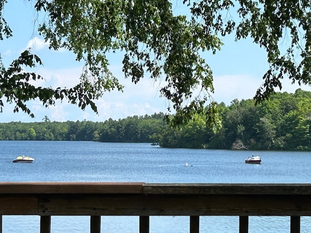 25150 Tame Fish Lake Rd Unit 552, Deerwood, MN 56444 - water view with a heavily wooded area