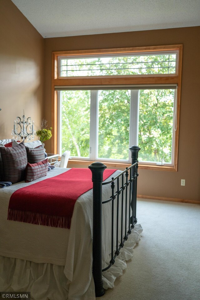 14578 Hunters Ln, Savage, MN 55378 - carpeted bedroom featuring baseboards
