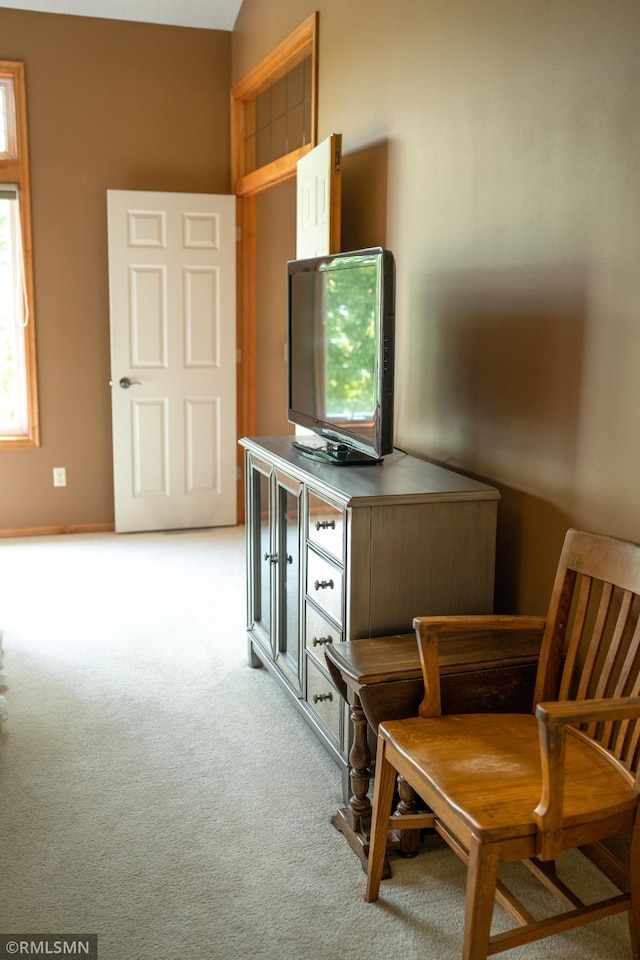 14578 Hunters Ln, Savage, MN 55378 - living area with carpet