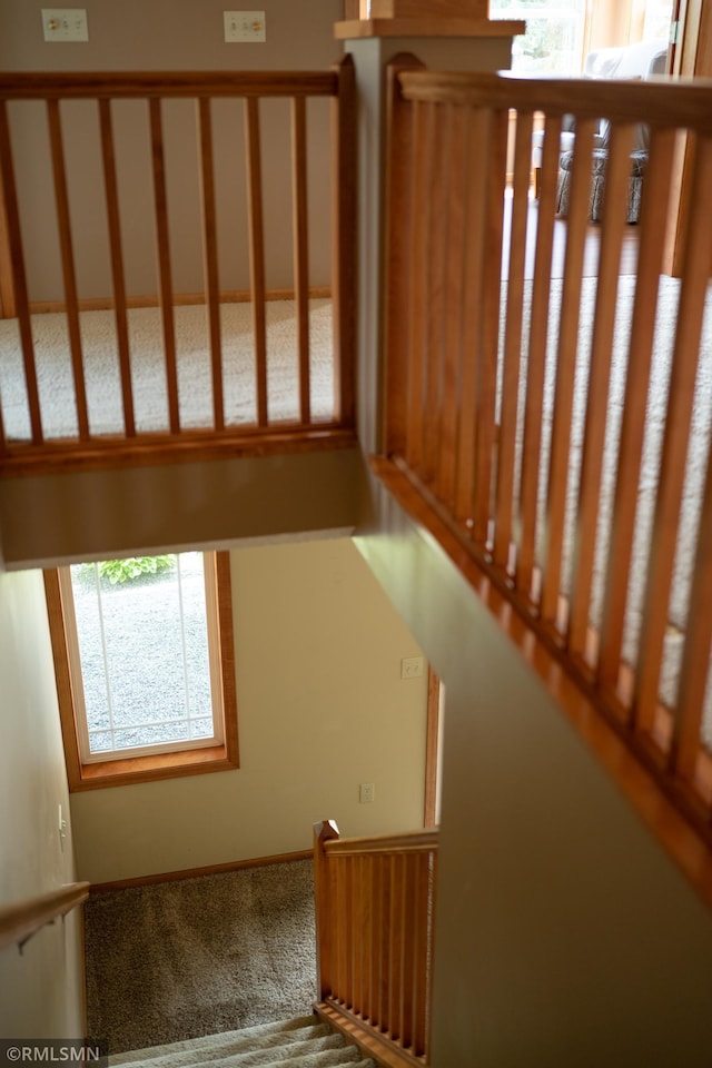 14578 Hunters Ln, Savage, MN 55378 - stairway with carpet flooring