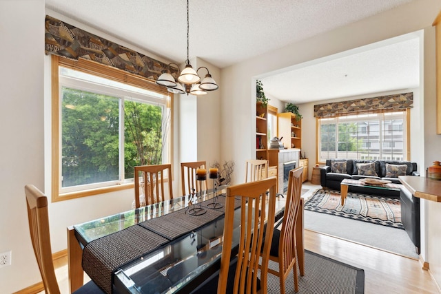 844 Coon Rapids Boulevard Extension NW, Coon Rapids, MN 55433 - dining area with a chandelier, wood finished floors, and a textured ceiling