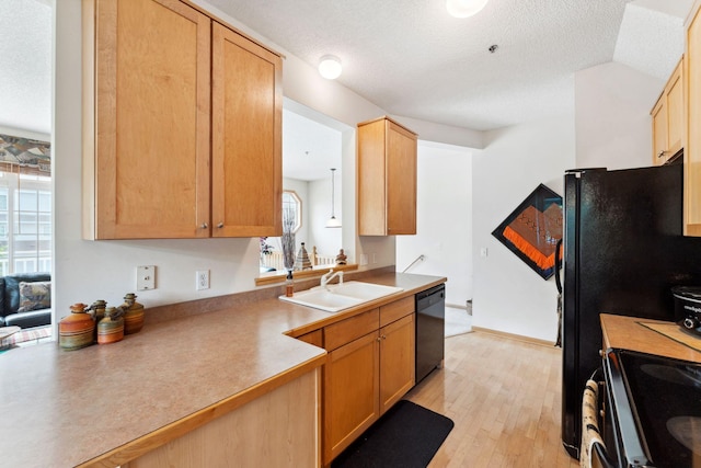 844 Coon Rapids Boulevard Extension NW, Coon Rapids, MN 55433 - kitchen with dishwasher, electric stove, light wood-type flooring, and a textured ceiling