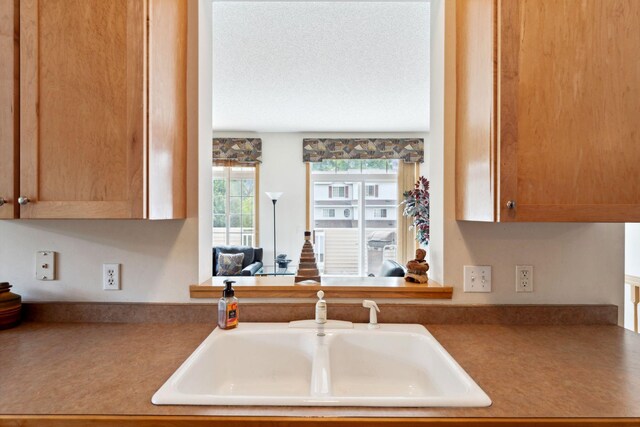 844 Coon Rapids Boulevard Extension NW, Coon Rapids, MN 55433 - kitchen with a sink