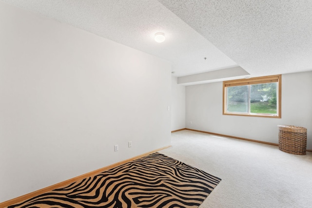 844 Coon Rapids Boulevard Extension NW, Coon Rapids, MN 55433 - spare room with carpet floors and a textured ceiling