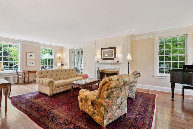 196 Mississippi River Blvd S, Saint Paul, MN 55105 - living room featuring ornamental molding, wood finished floors, radiator, and a lit fireplace