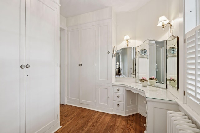 196 Mississippi River Blvd S, Saint Paul, MN 55105 - bathroom with radiator and wood finished floors