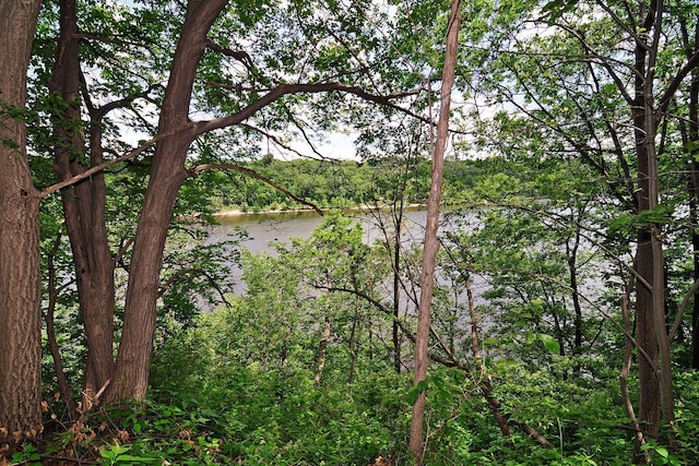 196 Mississippi River Blvd S, Saint Paul, MN 55105 - water view with a heavily wooded area