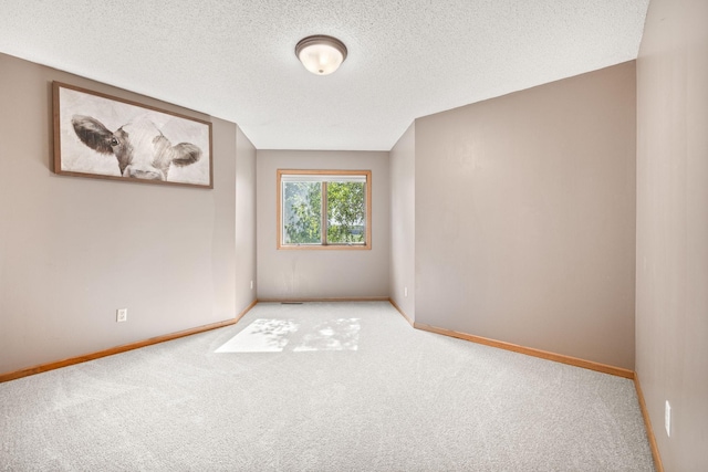 1630 Oxford Ave, Delano, MN 55328 - photo 19