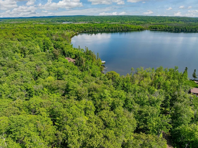 TBD Willow Lake Dr, Deer River, MN 56636