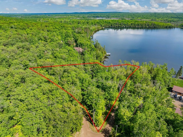 TBD Willow Lake Dr, Deer River, MN 56636
