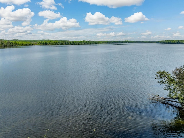 TBD Willow Lake Dr, Deer River, MN 56636