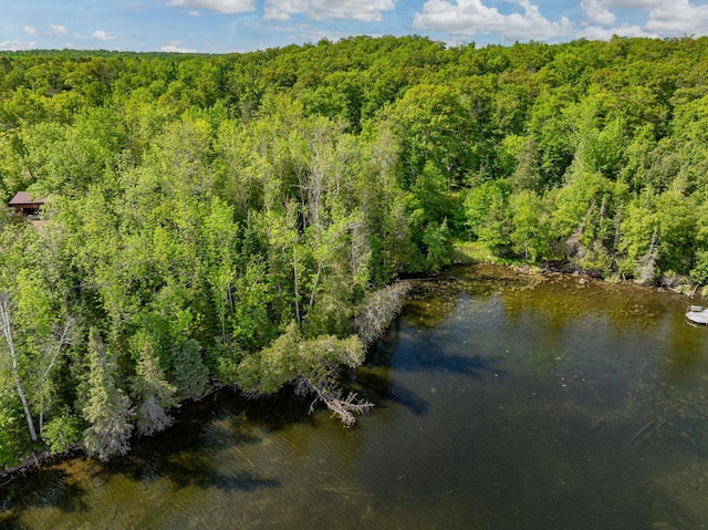 TBD Willow Lake Dr, Deer River, MN 56636