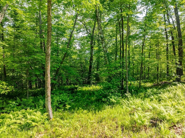 TBD Willow Lake Dr, Deer River, MN 56636