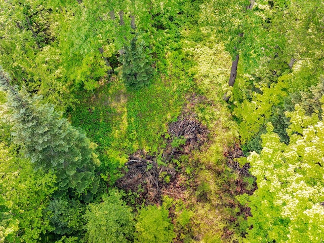 TBD Willow Lake Dr, Deer River, MN 56636