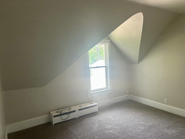 604 7th Ave E, Alexandria, MN 56308 - additional living space with baseboard heating, carpet floors, and lofted ceiling