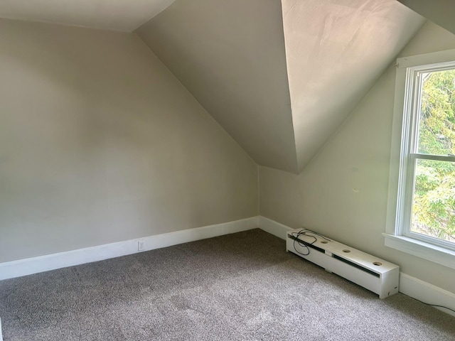 604 7th Ave E, Alexandria, MN 56308 - bonus room featuring vaulted ceiling, carpet flooring, and baseboard heating