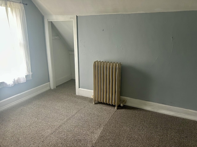 604 7th Ave E, Alexandria, MN 56308 - bonus room with radiator heating unit, vaulted ceiling, and carpet flooring