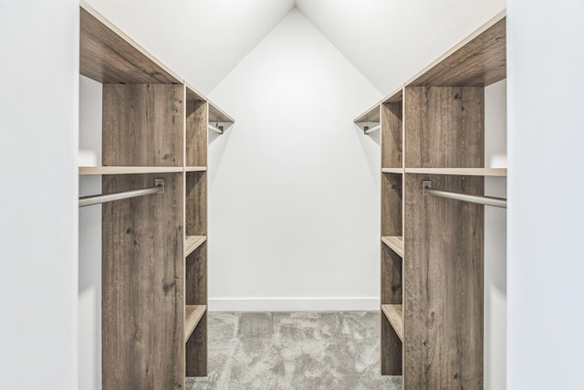 5223 15th Ave S, Minneapolis, MN 55417 - walk in closet featuring carpet and vaulted ceiling