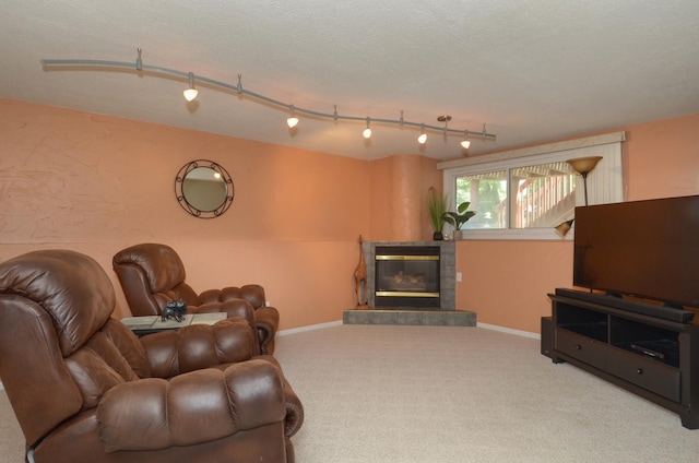 6441 Arthur St NE, Fridley, MN 55432 - living area with carpet flooring and a fireplace