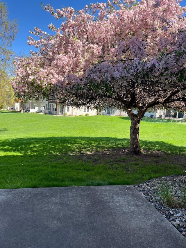 1587 Liberty St, Shakopee, MN 55379 - view of grassy yard