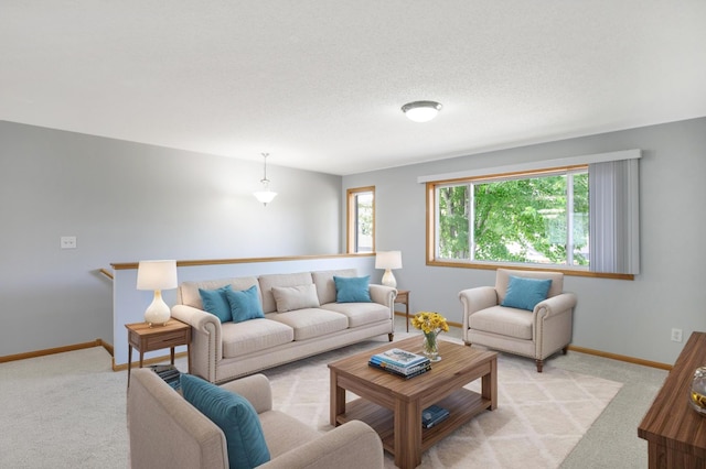 304 Tanager Path, Mankato, MN 56001 - living area with plenty of natural light and light carpet