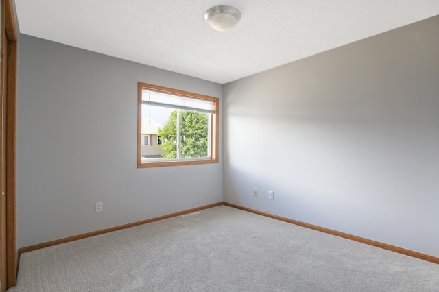 304 Tanager Path, Mankato, MN 56001 - carpeted empty room with baseboards