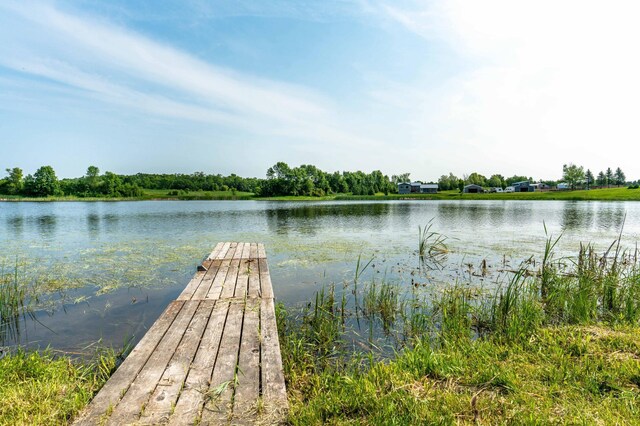 29487 Riverview Rd, Friberg Twp, MN 56537 - photo 22