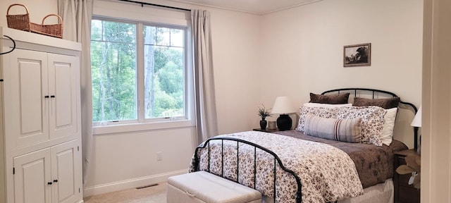 9029 Crown Hill Ct, Brainerd, MN 56401 - bedroom with multiple windows