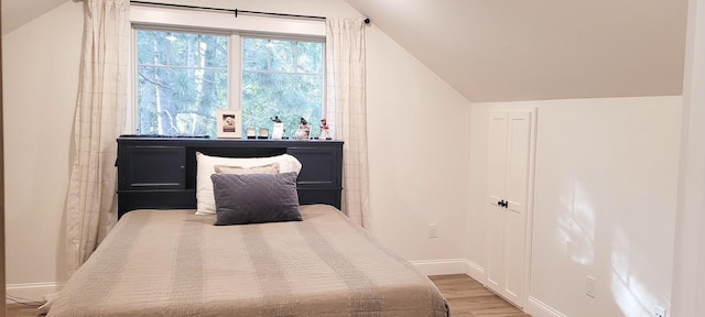 9029 Crown Hill Ct, Brainerd, MN 56401 - bedroom with lofted ceiling, wood finished floors, and a closet