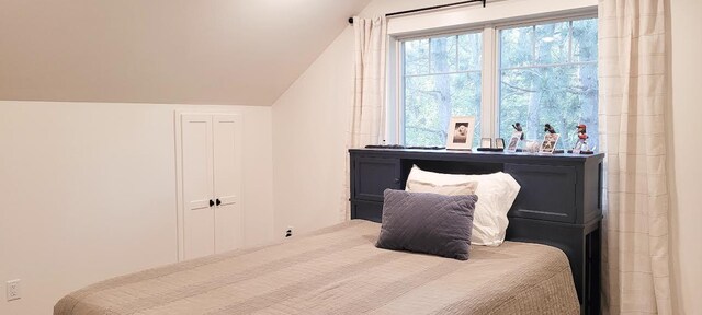 9029 Crown Hill Ct, Brainerd, MN 56401 - bedroom with vaulted ceiling