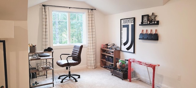 9029 Crown Hill Ct, Brainerd, MN 56401 - office with carpet flooring and lofted ceiling