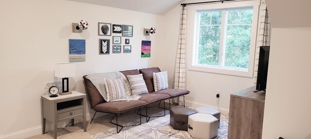 9029 Crown Hill Ct, Brainerd, MN 56401 - sitting room with carpet floors and lofted ceiling