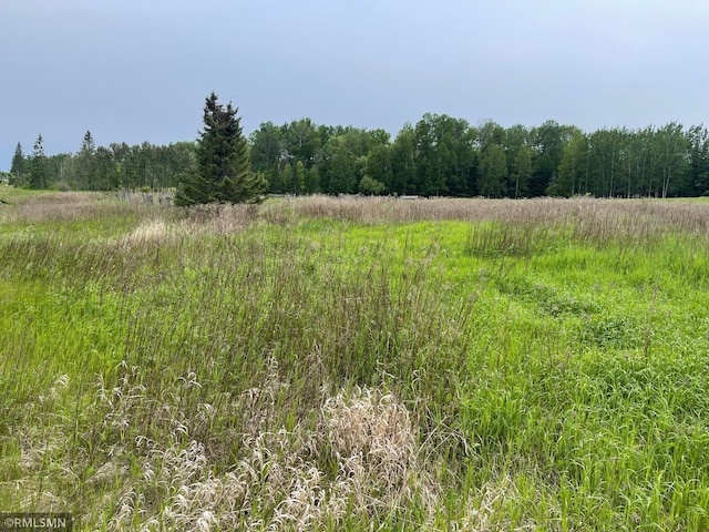 25617 N Rd, Trout Lake Twp, MN 55709