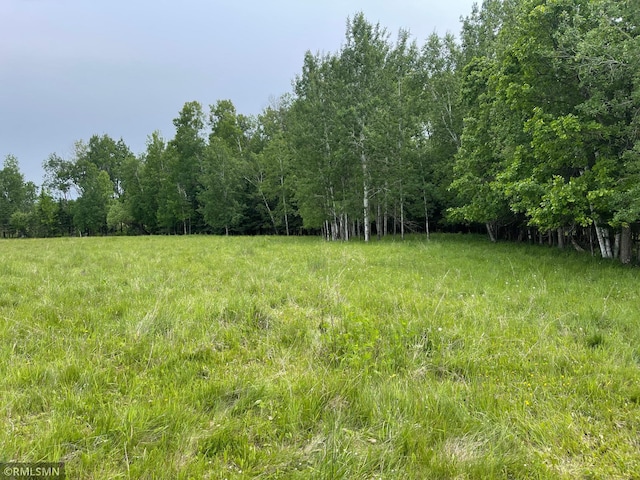 25617 N Rd, Trout Lake Twp, MN 55709