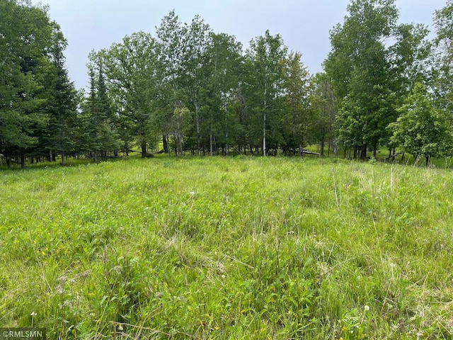 25617 N Rd, Trout Lake Twp, MN 55709