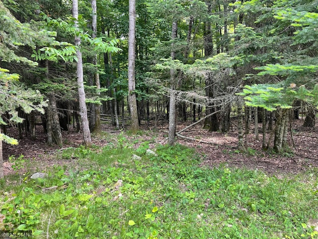 25617 N Rd, Trout Lake Twp, MN 55709