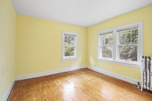 4300 Beard Ave S, Minneapolis, MN 55410 - spare room featuring healthy amount of natural light, light wood finished floors, and radiator