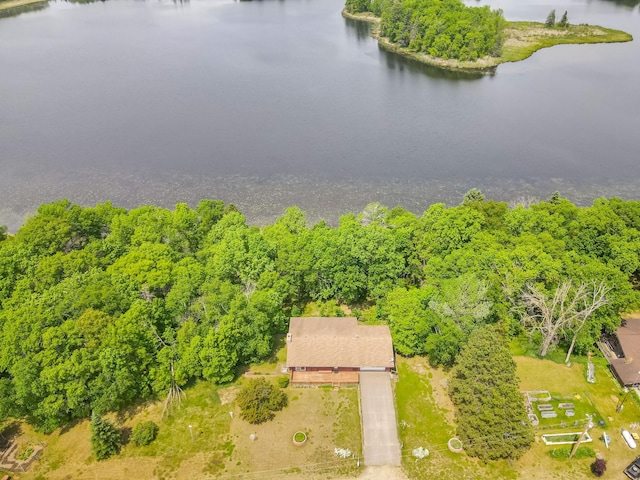1283 Island Lake Dr NW, Powers Twp, MN 56435 - bird's eye view of a large body of water